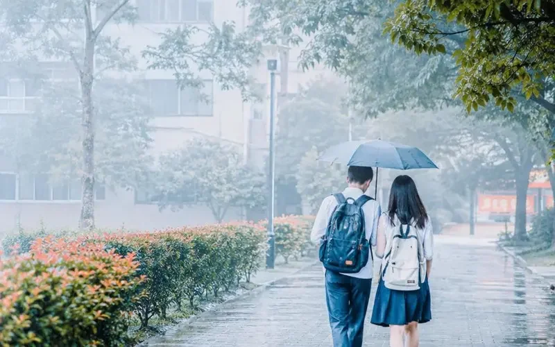 《伞下心动》凭什么成为甜宠黑马？三大原因说清 - 擦边短剧合集资讯配图