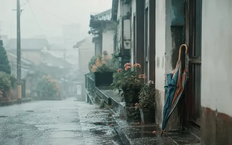 《妈妈的旧雨伞》口碑炸裂：一次迟到很多年的和解 - 擦边短剧合集资讯配图